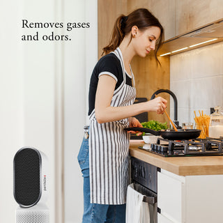 Partiküle Air Purifier