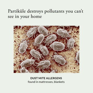 Partiküle Air Purifier Filter
